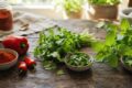 Paprika, coriandolo e Melissa: il trio del benessere che rilassa lo stomaco